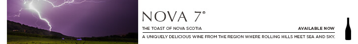 Nova 7