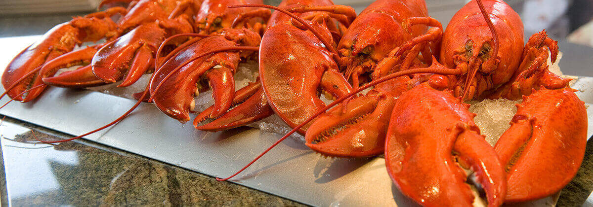 PEI Fall Flavours Festival